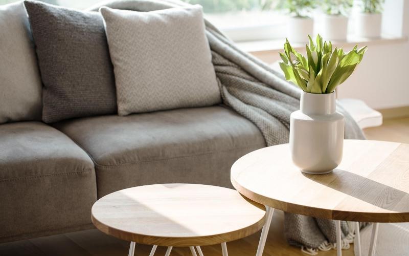 sunlight pours through a large window in furnished living room